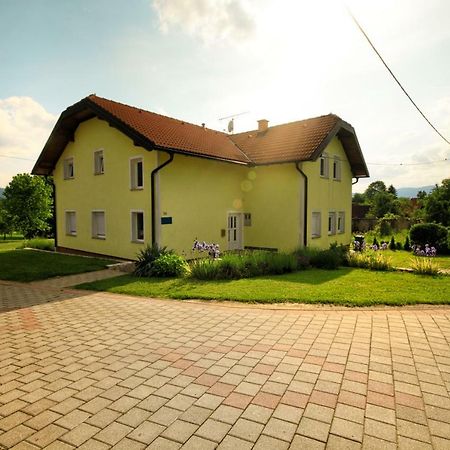 Apartment & Rooms Arija Drežnik Grad Esterno foto